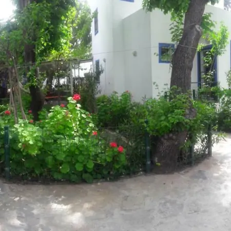 Meri In *